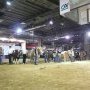 (c) Conservatoire des Races d'Aquitaine