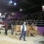 (c) Conservatoire des Races d'Aquitaine