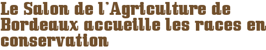 Le Salon de l'Agriculture de Bordeaux accueille les races en conservation