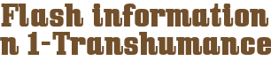 Flash information n°1-Transhumance