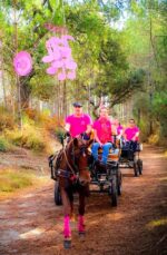 Poney landais